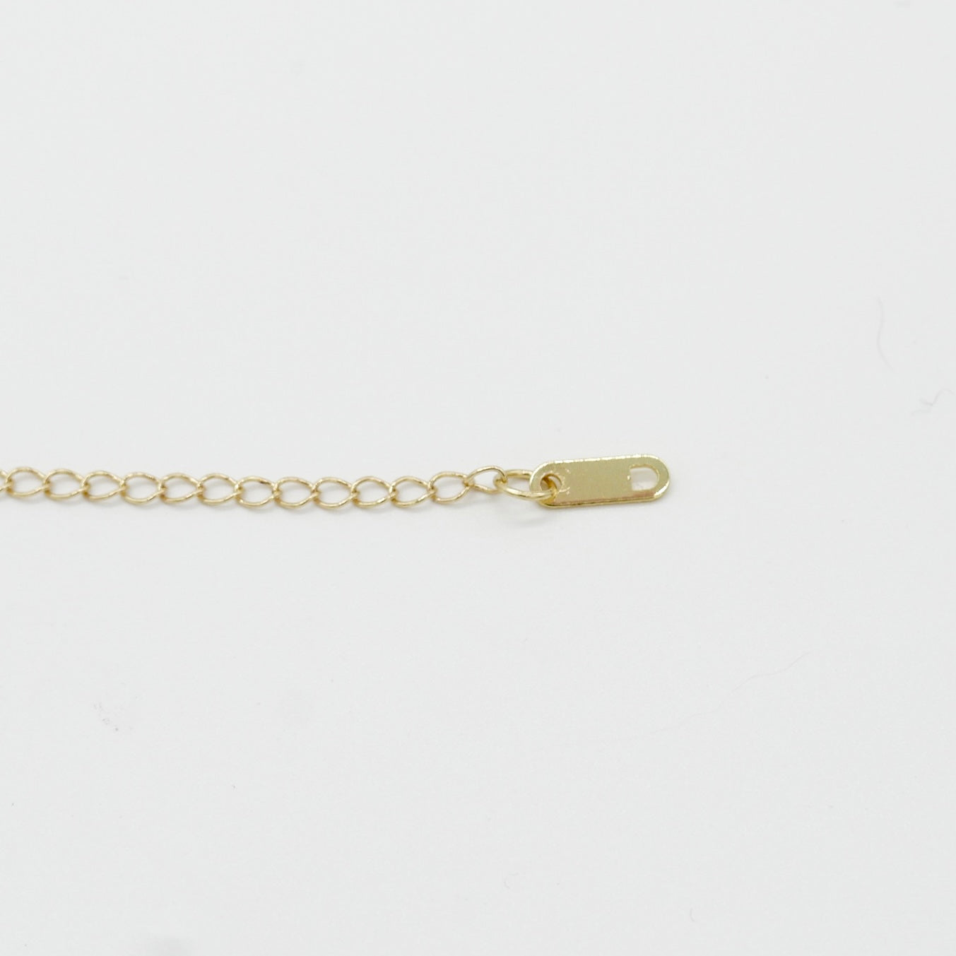 Horseshoe Link Layered Necklace